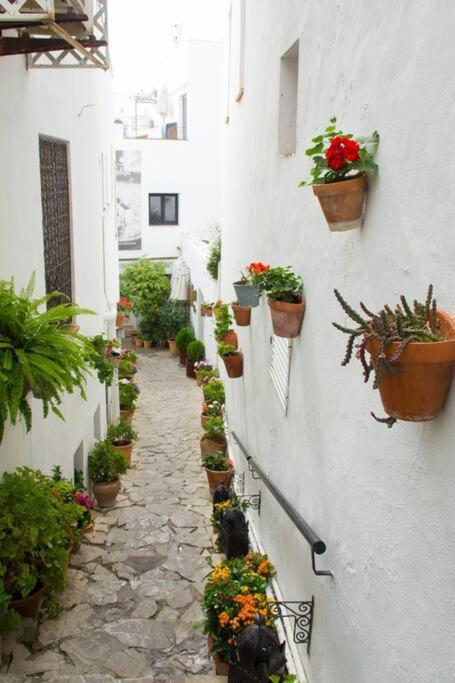 Appartement Casa Anicca à Vejer de la Frontera Extérieur photo